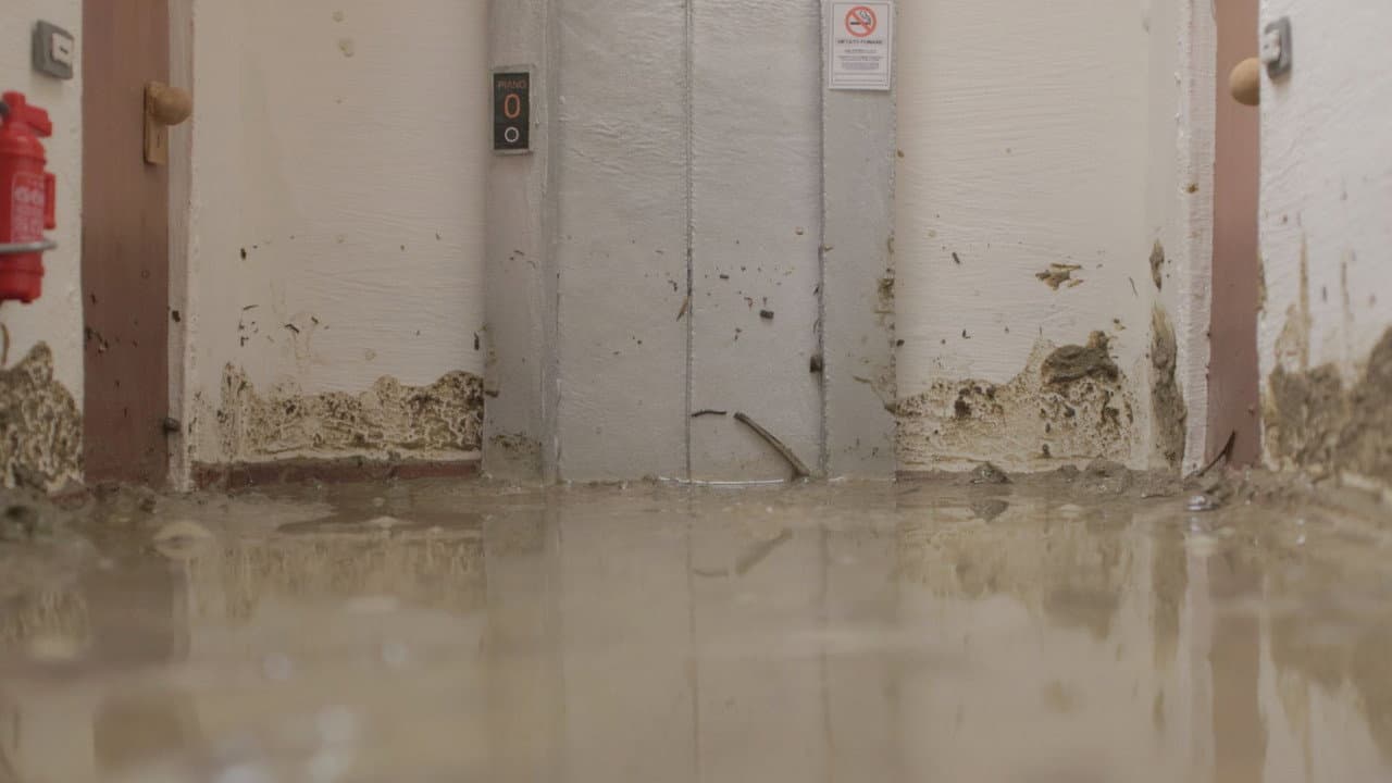 Backdrop – Il tempo del fiume