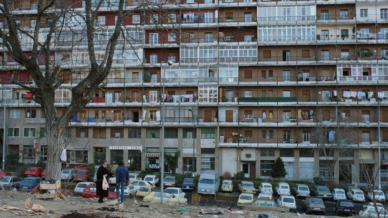 Backdrop – Womit habe ich das verdient?