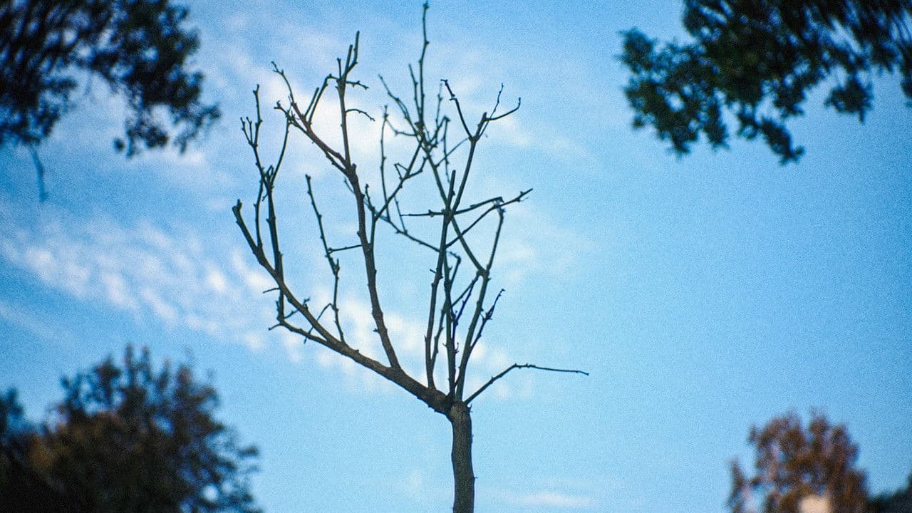 Backdrop – The River of Lethe