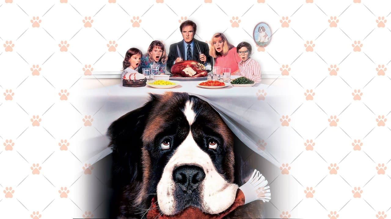 Backdrop – Ein Hund namens Beethoven