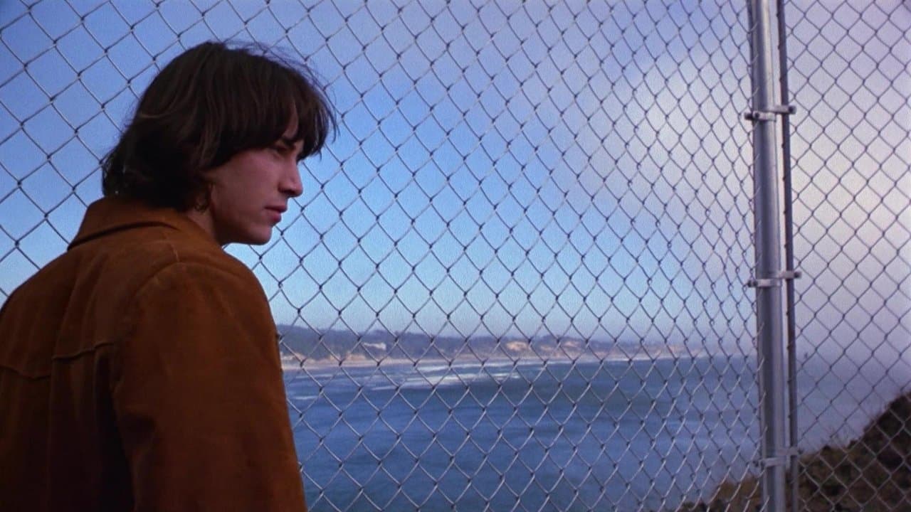 Backdrop – The Last Song