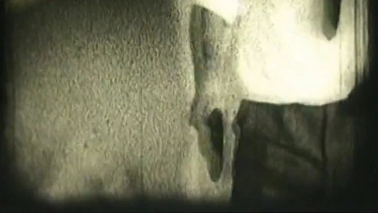 Backdrop – Ping-Pong