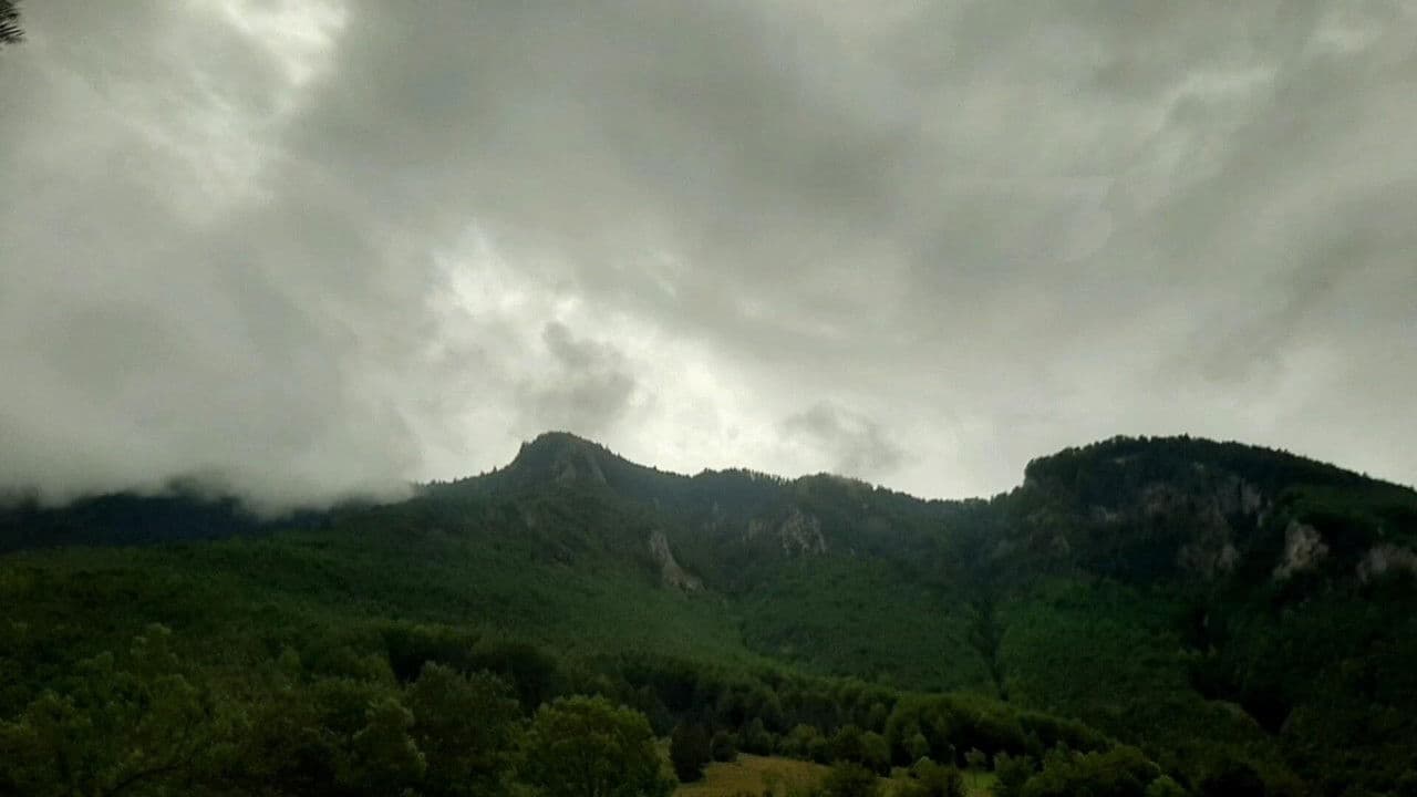 Backdrop – Tourist;Drifter