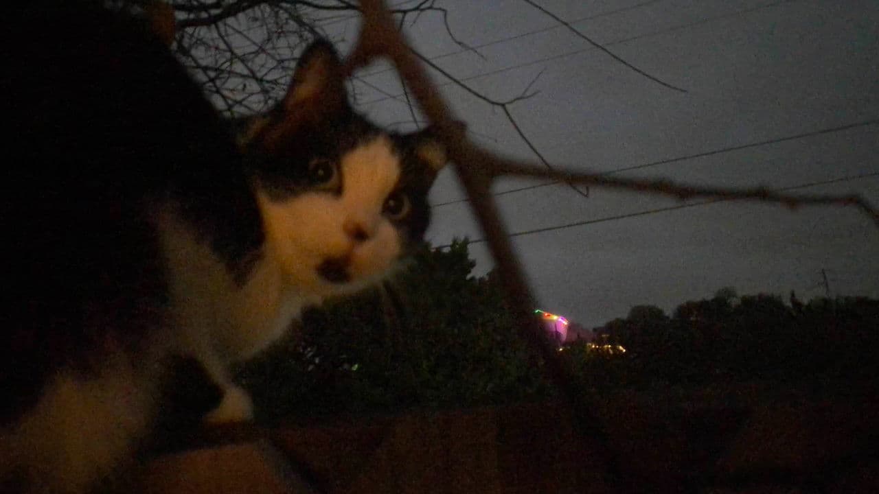 Backdrop – Under the Weight of a Waking Dream