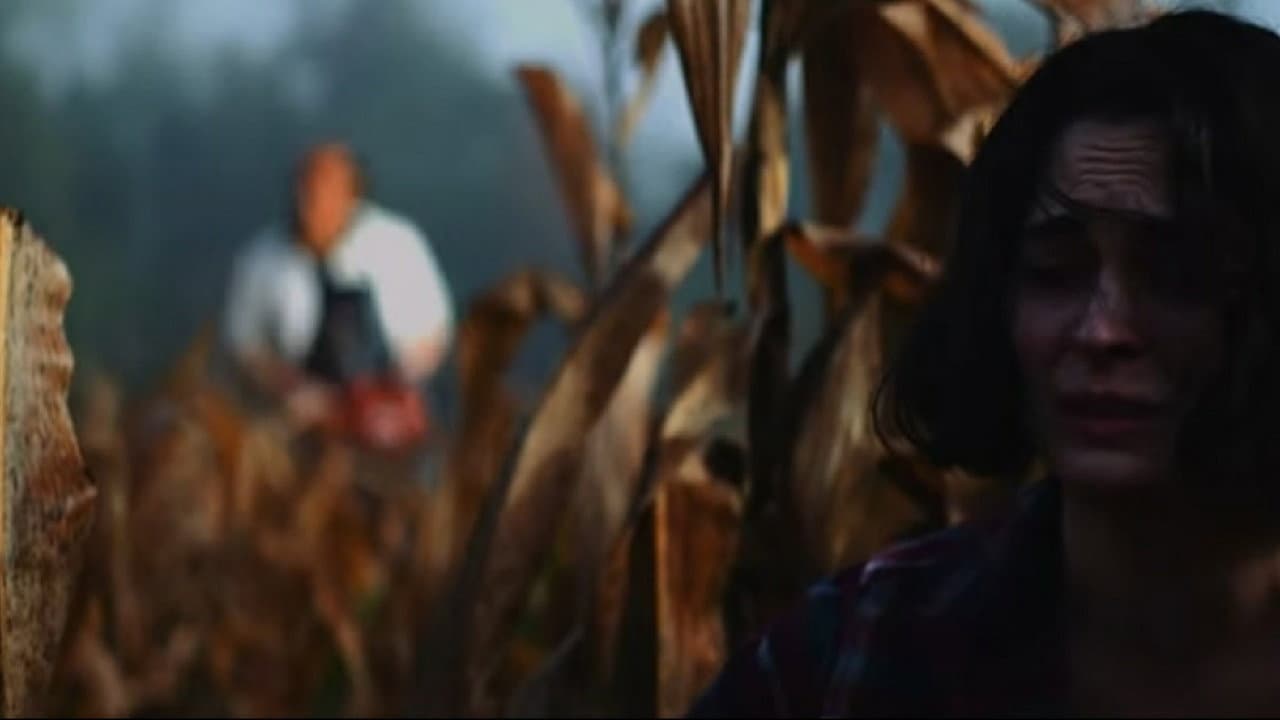 Backdrop – Leather