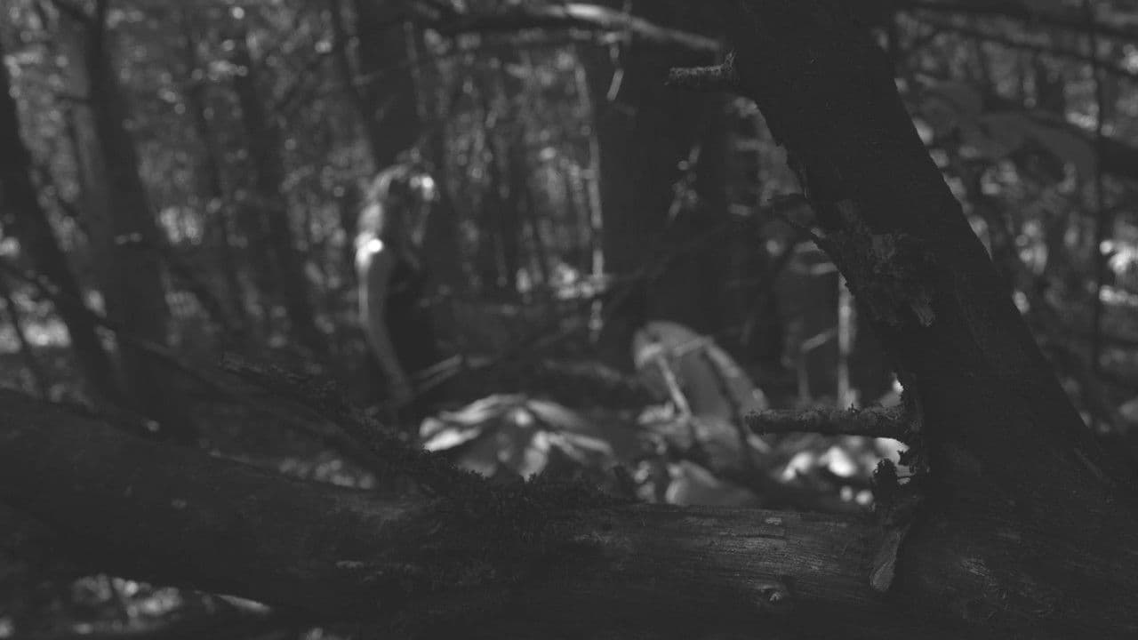 Backdrop – The Poet