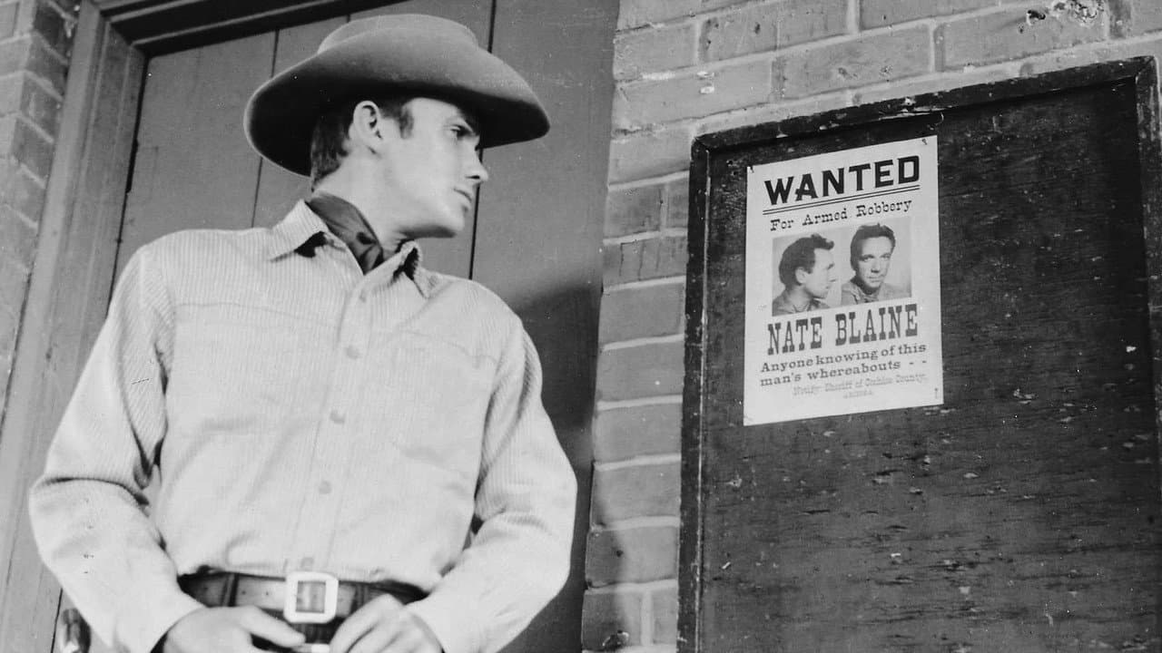 Backdrop – Outlaw's Son
