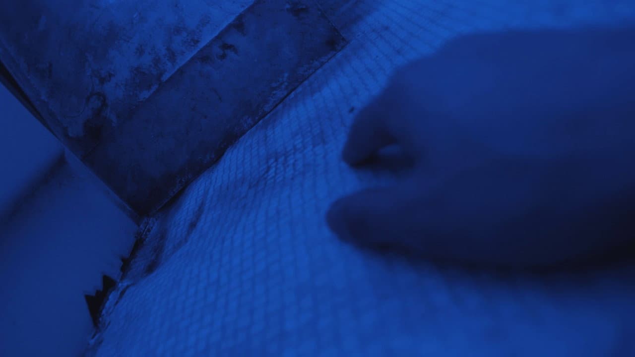 Backdrop – A Night to Remember