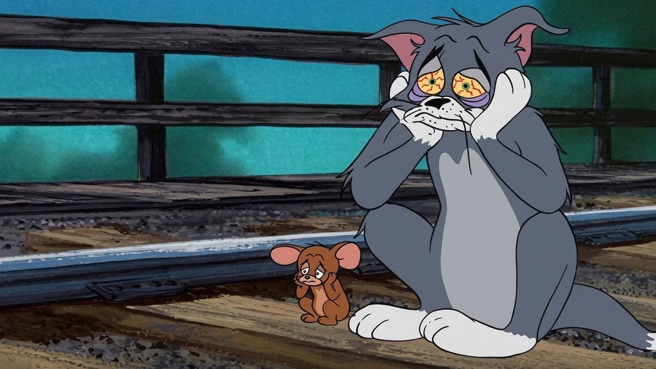 Backdrop – Dreimal armer, schwarzer Kater