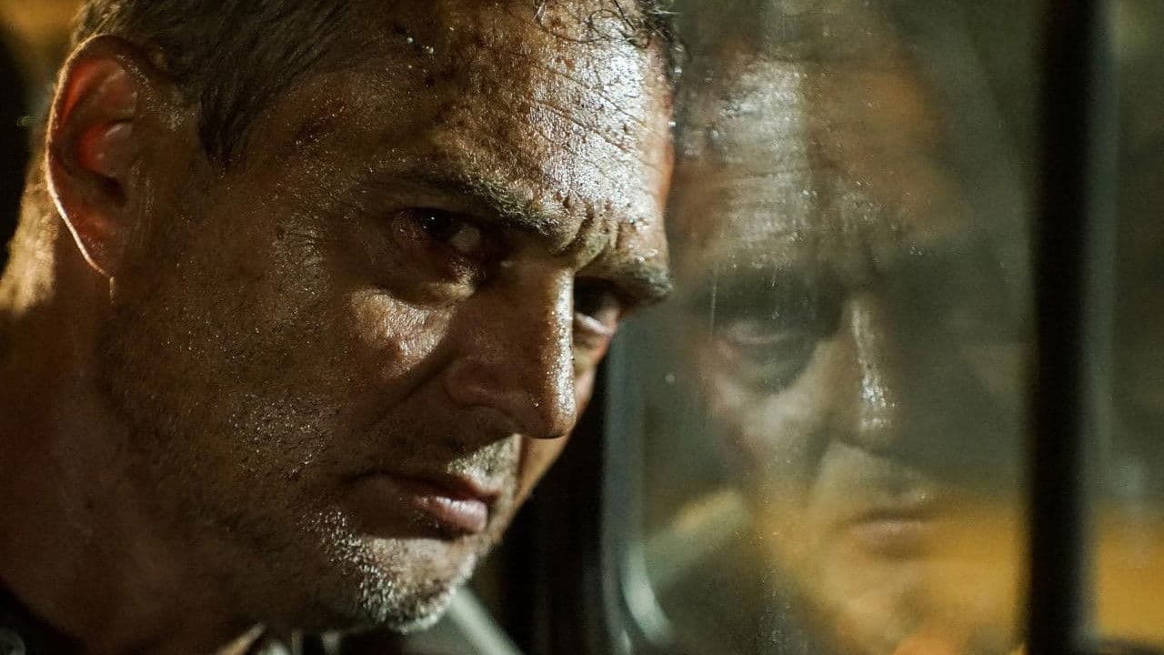 Backdrop – Солнцепёк