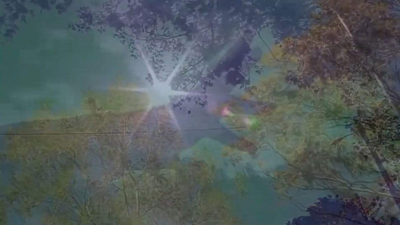 Backdrop – Hunting Confessions