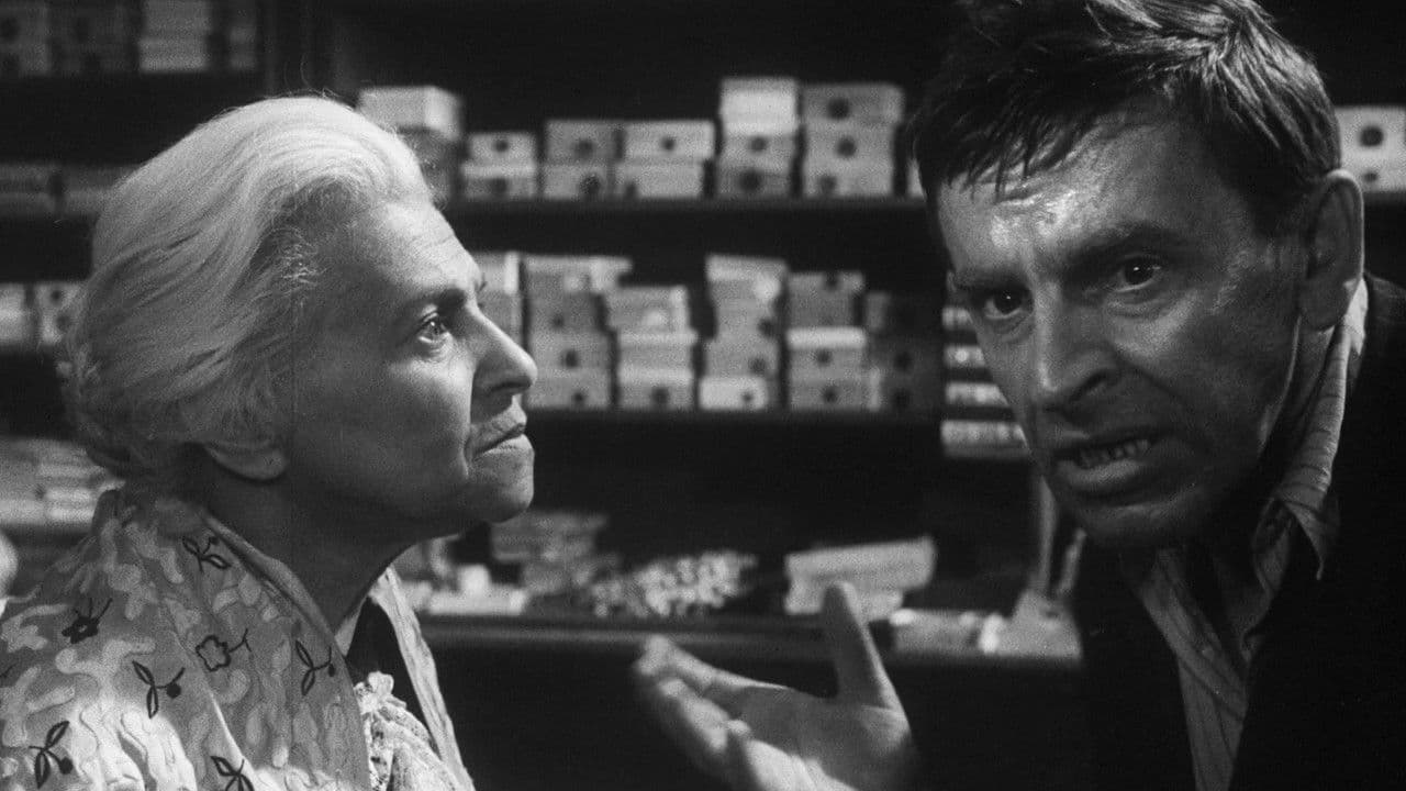 Backdrop – Der Laden auf dem Korso