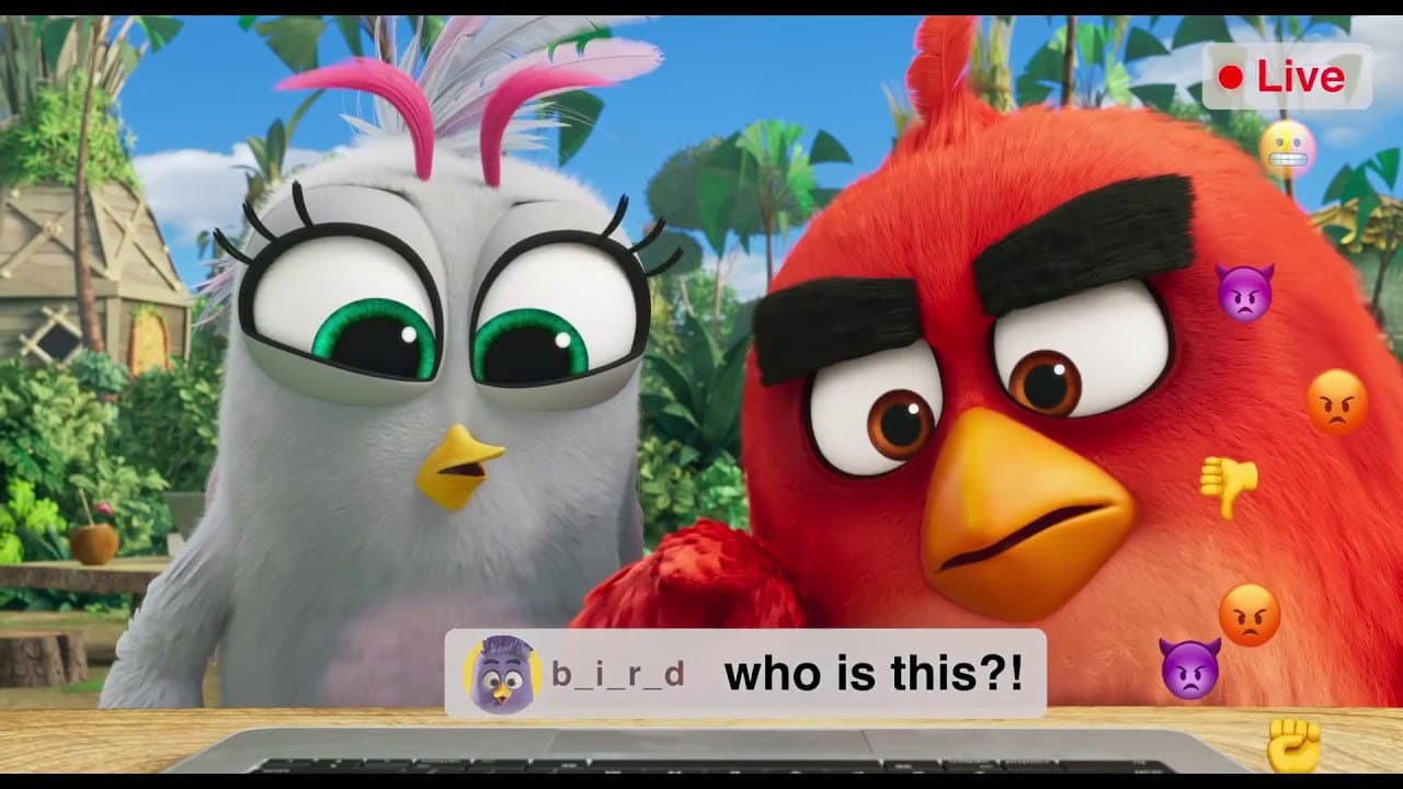 Backdrop – Angry Birds: Live Stream