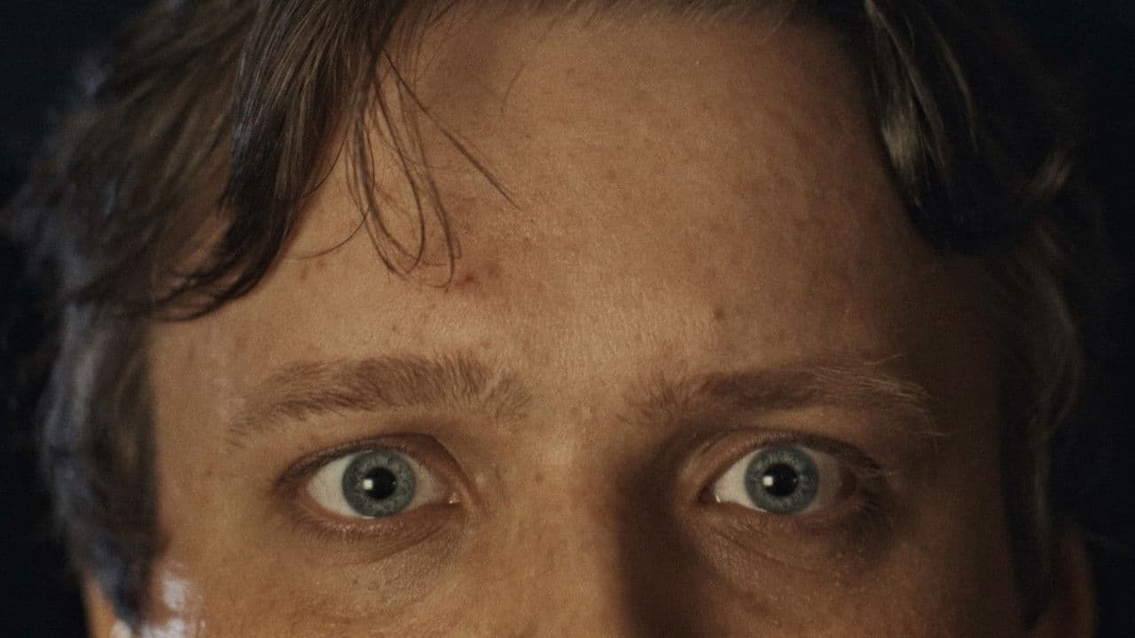 Backdrop – Looky Loo