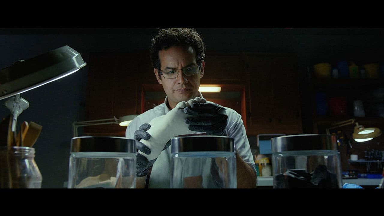 Backdrop – Prótesis