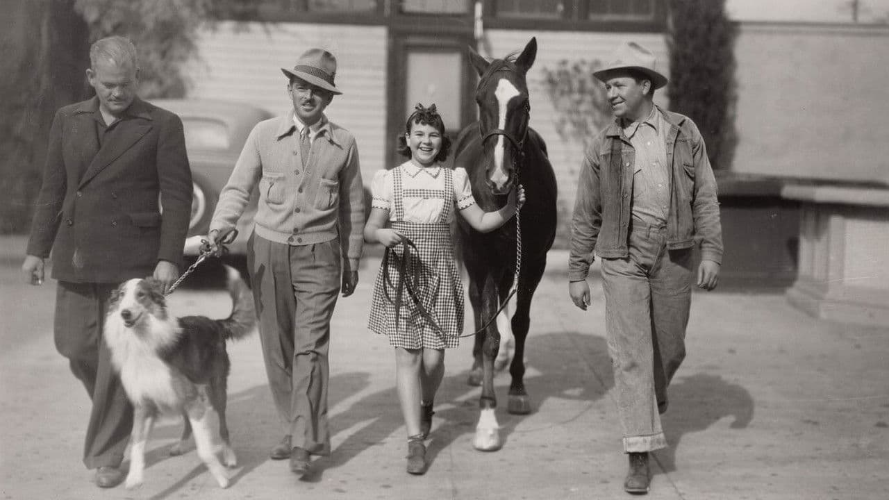 Backdrop – Checkers