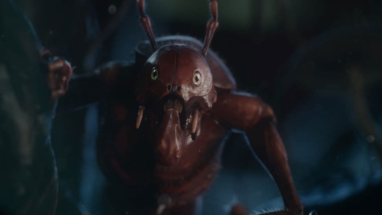 Backdrop – O bubicama i herojima