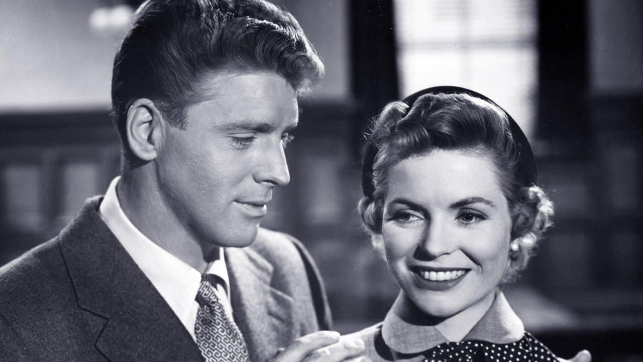 Backdrop – Mister 880