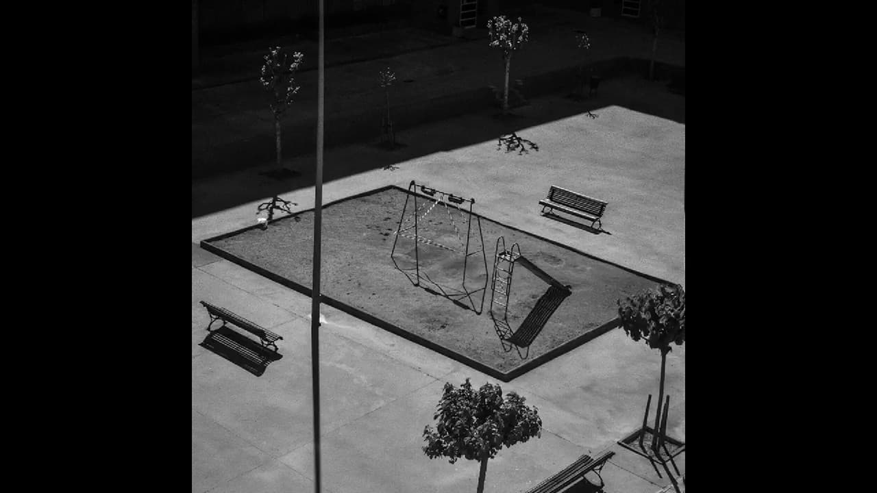 Backdrop – 99 dies