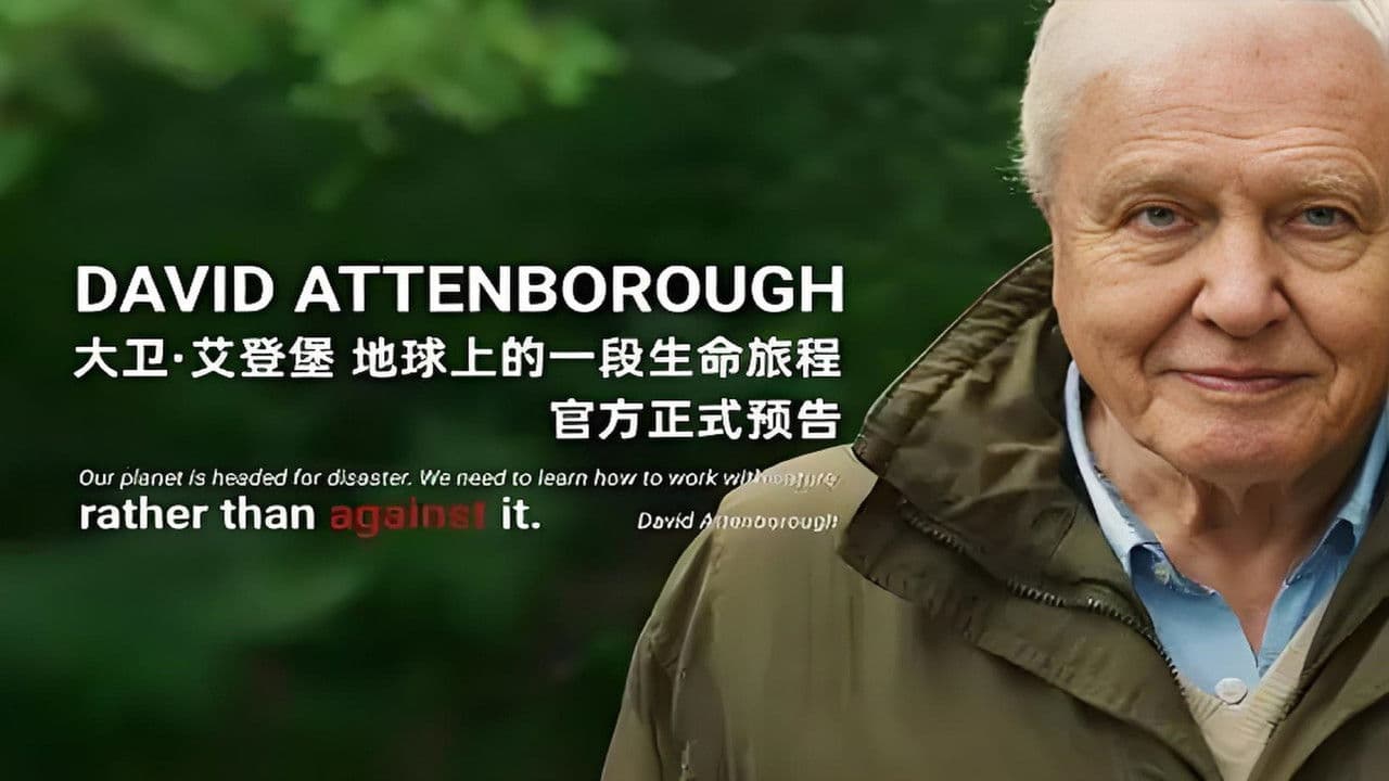 Backdrop – David Attenborough: A Life on Earth
