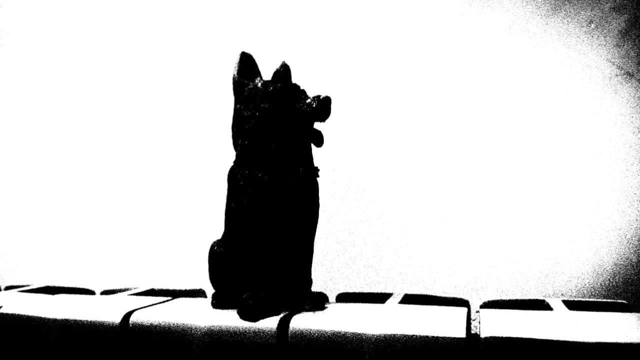 Backdrop – سگ کوچه سرندی