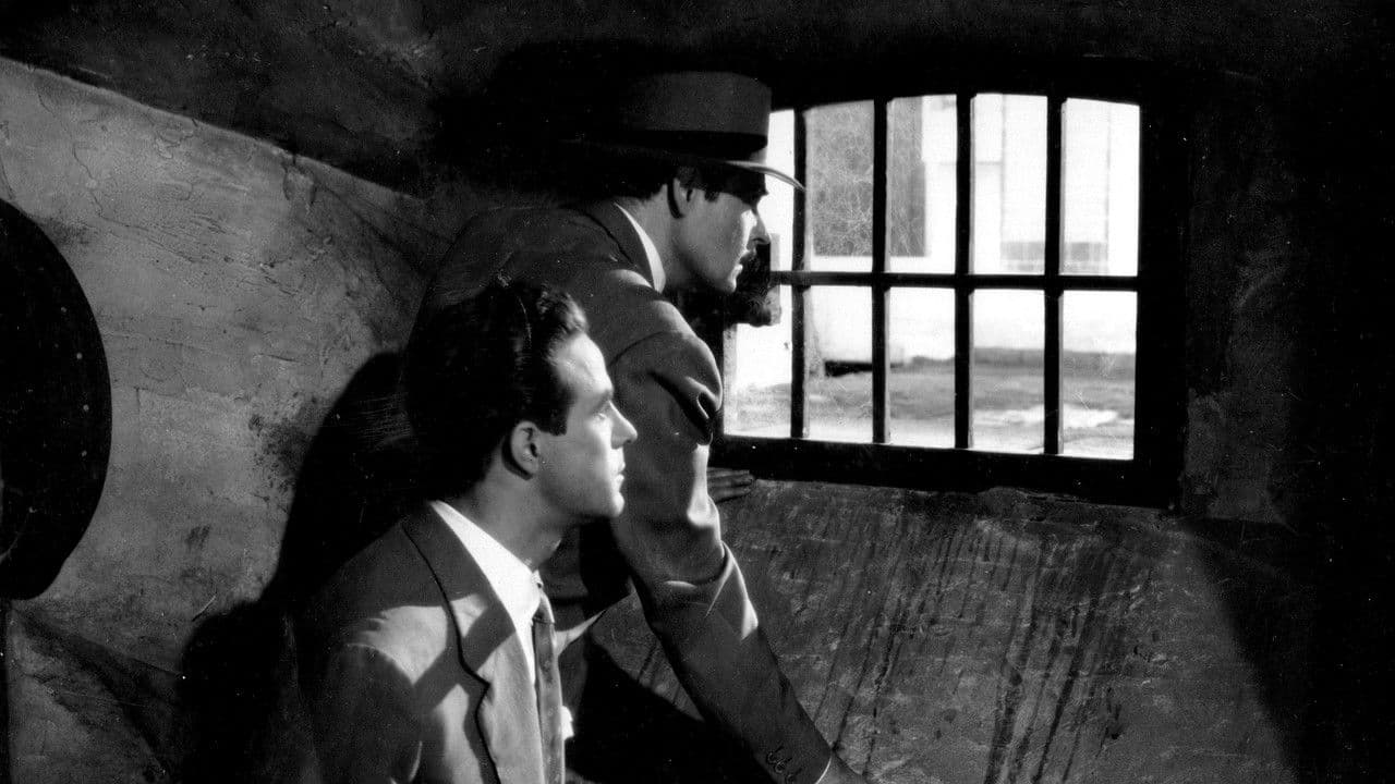 Backdrop – Apartado de correos 1001