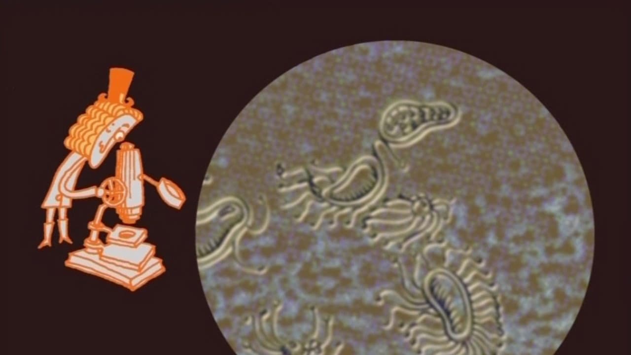 Backdrop – Le petit vélo dans la tête