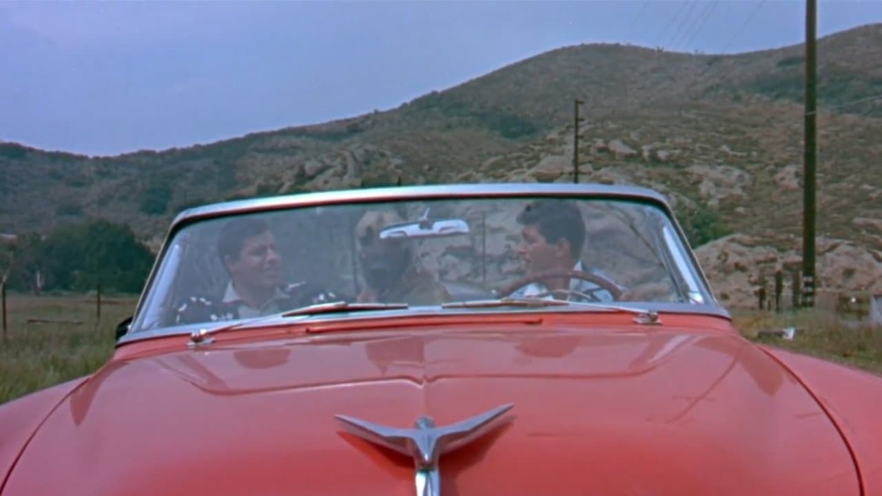 Backdrop – Alles um Anita