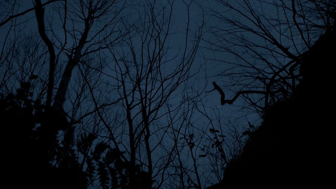 Backdrop – Here Lies Daniel