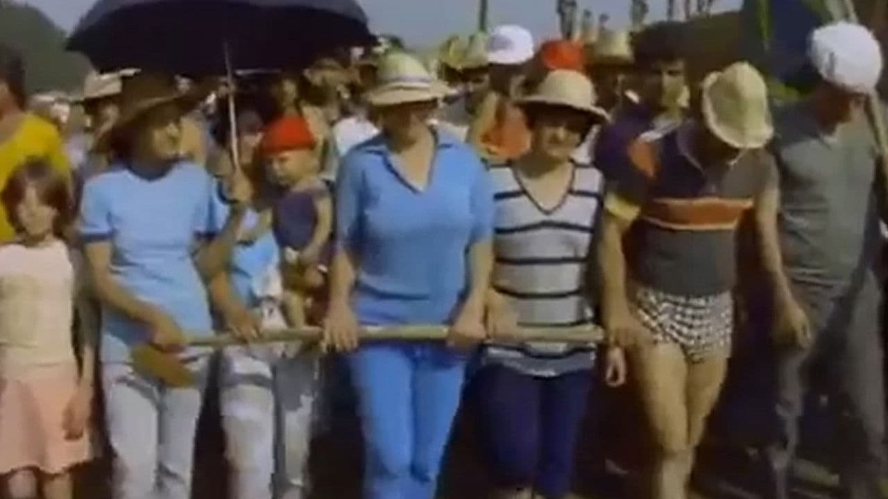 Backdrop – Terra Para Rose