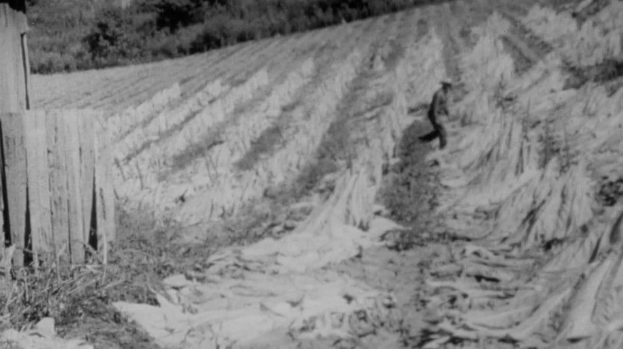 Backdrop – The End of an Old Song