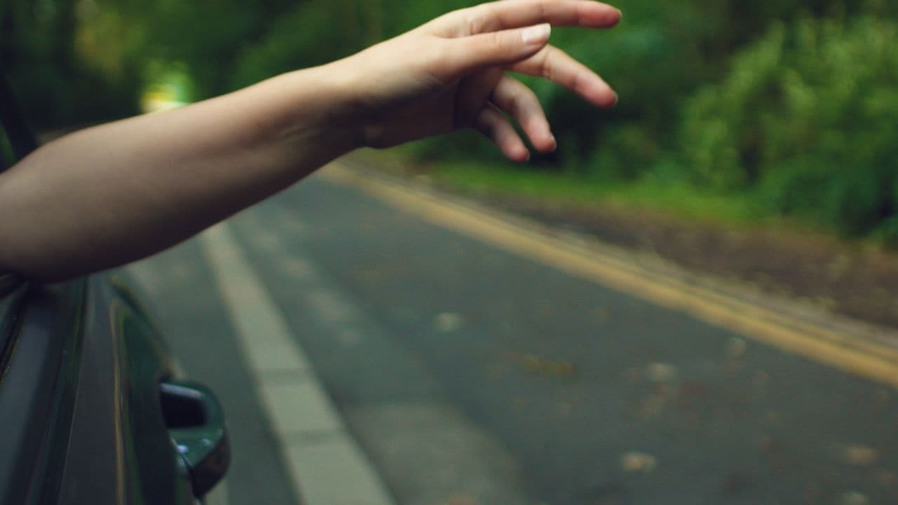 Backdrop – Every Kind of Fruit Bearing Tree