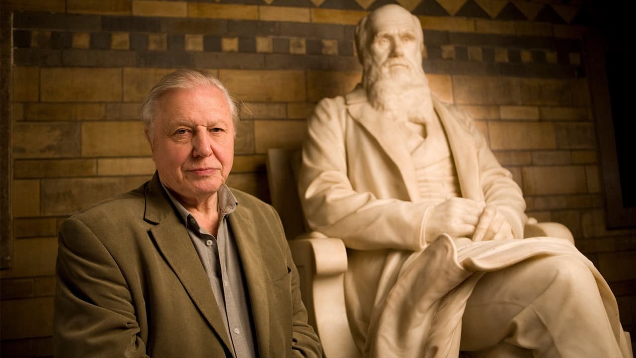 Backdrop – Charles Darwin and the Tree of Life