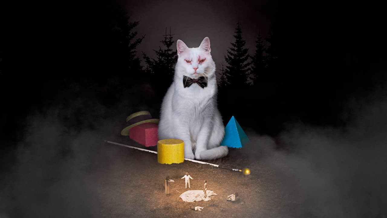 Backdrop – Koko-di Koko-da