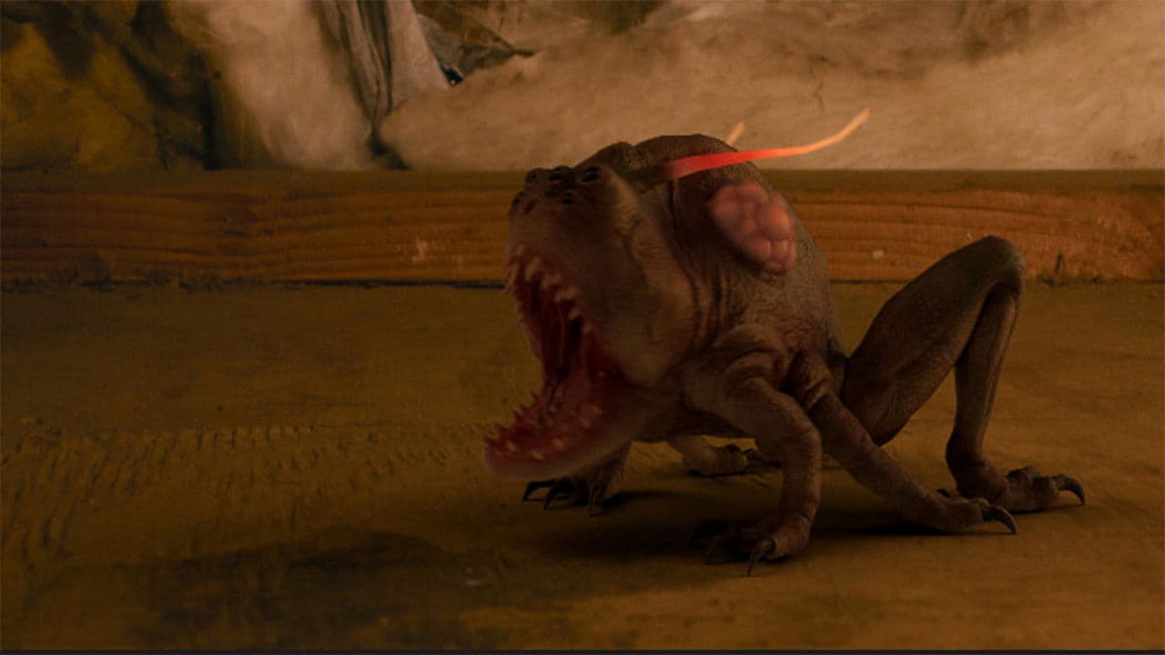 Backdrop – Pest Control