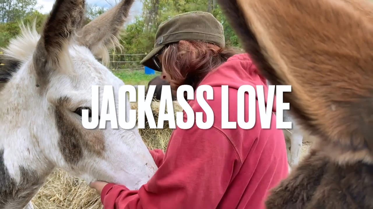 Backdrop – Jackass Love