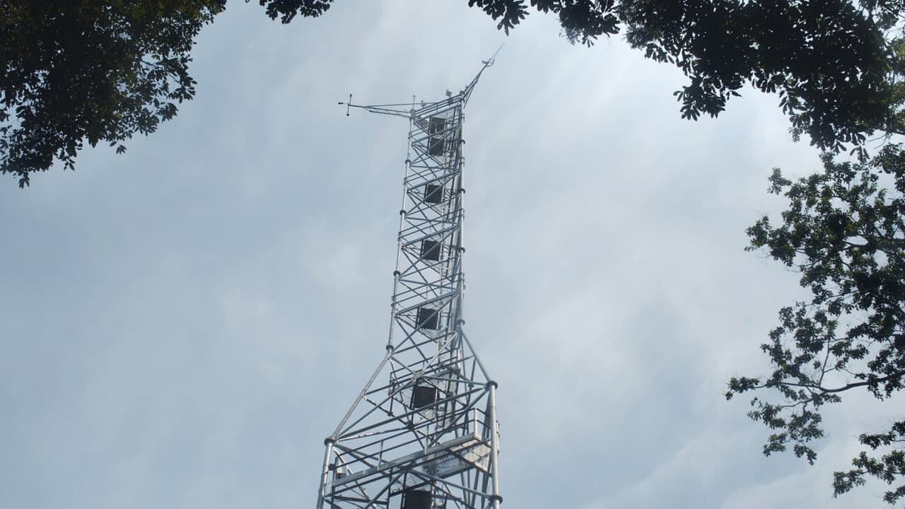 Backdrop – Der Baum der Authentizität