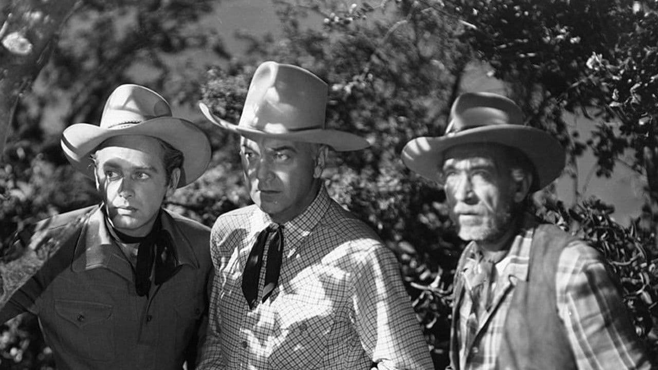 Backdrop – Strange Gamble