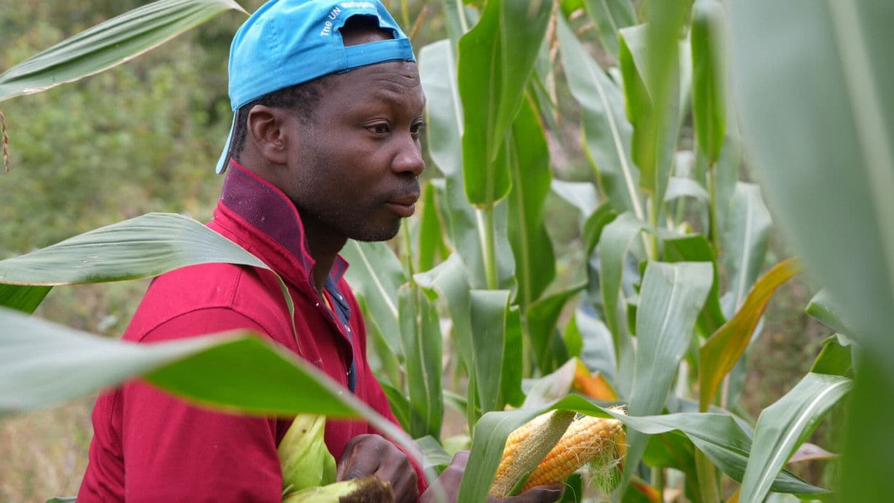 Backdrop – Թեղուտցի Սիլվենը