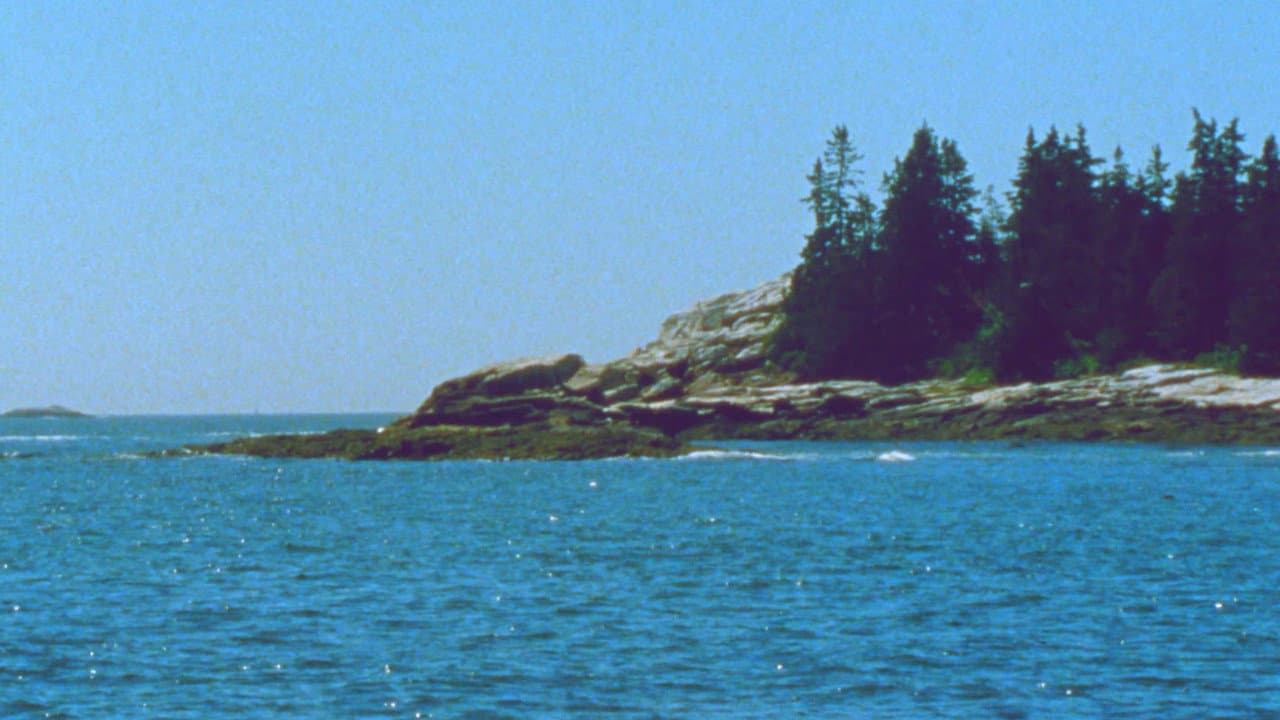 Backdrop – The Seashore