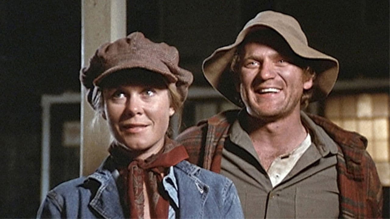 Backdrop – Mrs. Sundance