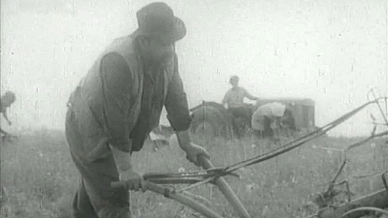 Backdrop – Razmeđa