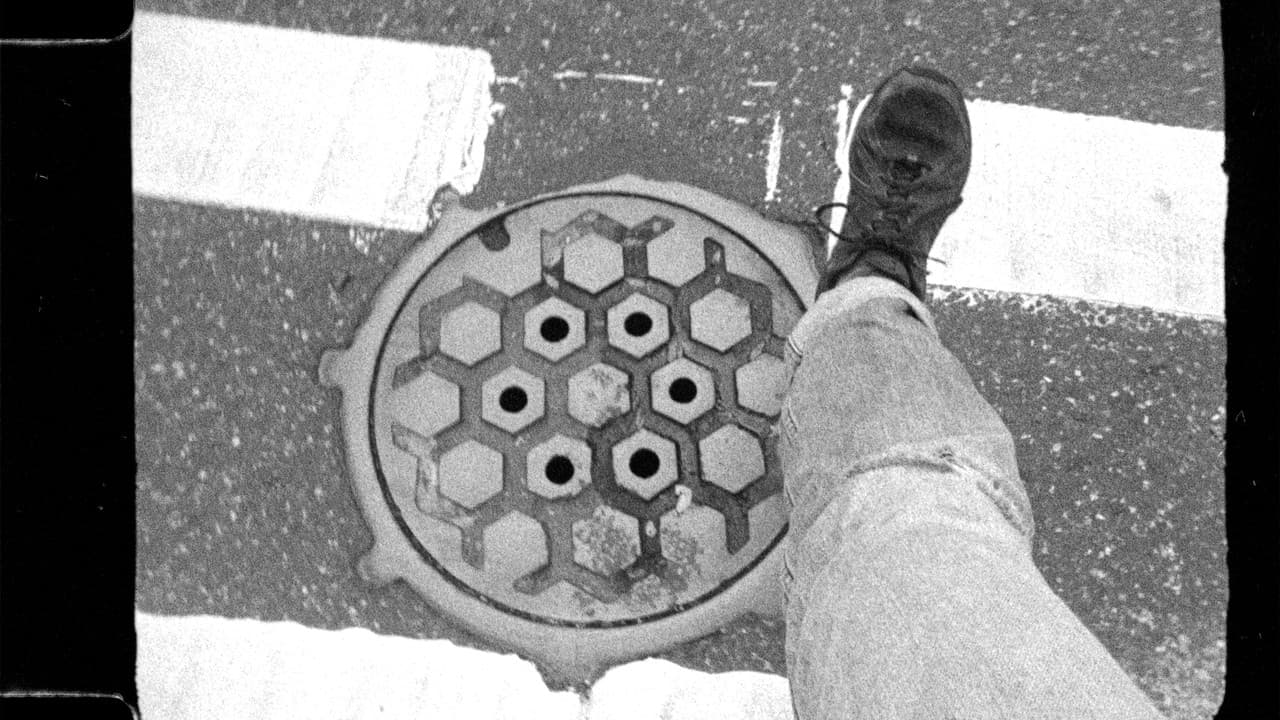 Backdrop – FOREIGN AFFAIRS