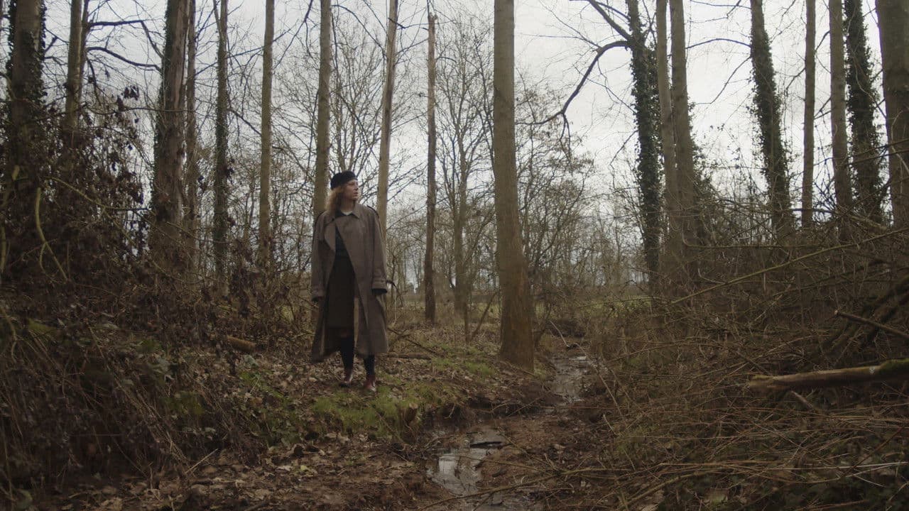 Backdrop – The Freedom of Herds