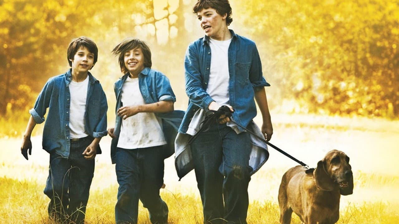 Backdrop – Alabama Moon