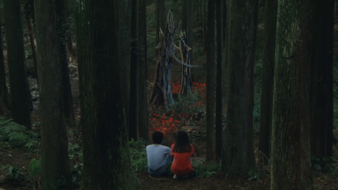 Backdrop – Rhapsodie im August