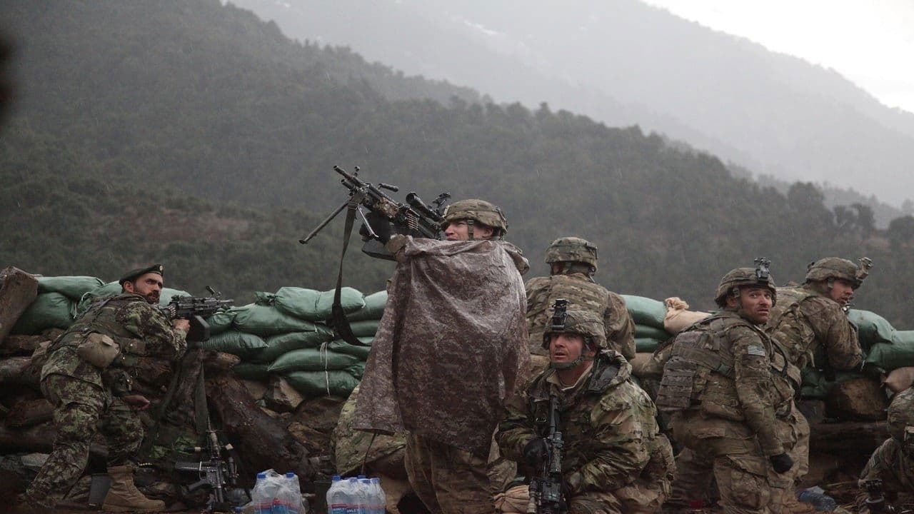 Backdrop – The Hornet's Nest