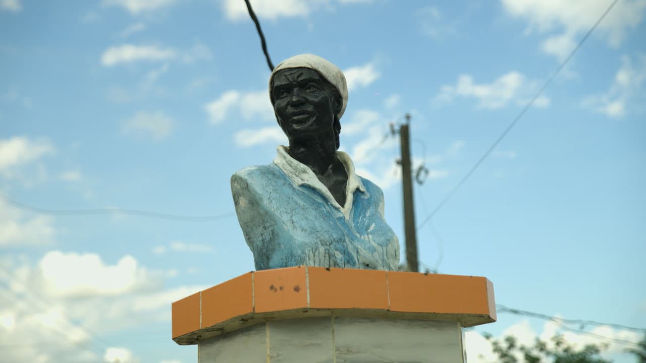 Backdrop – Mamá Tingó: Memoria viva de la tierra dominicana