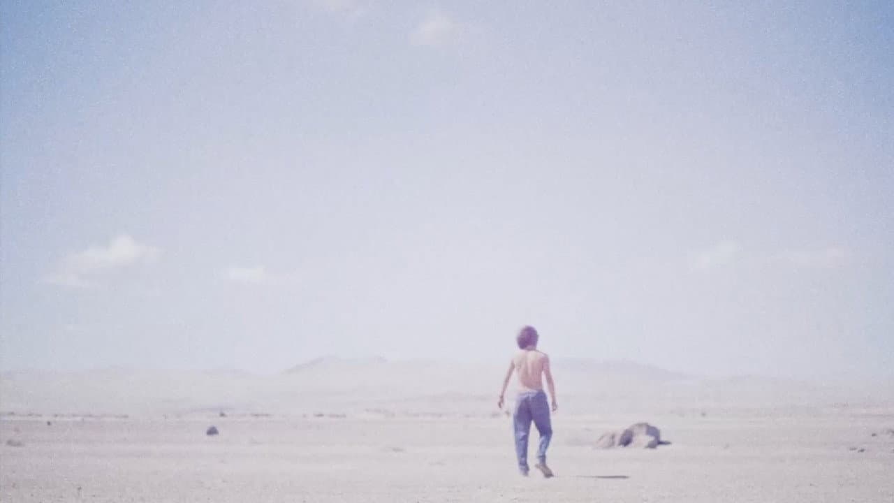 Backdrop – Desierto