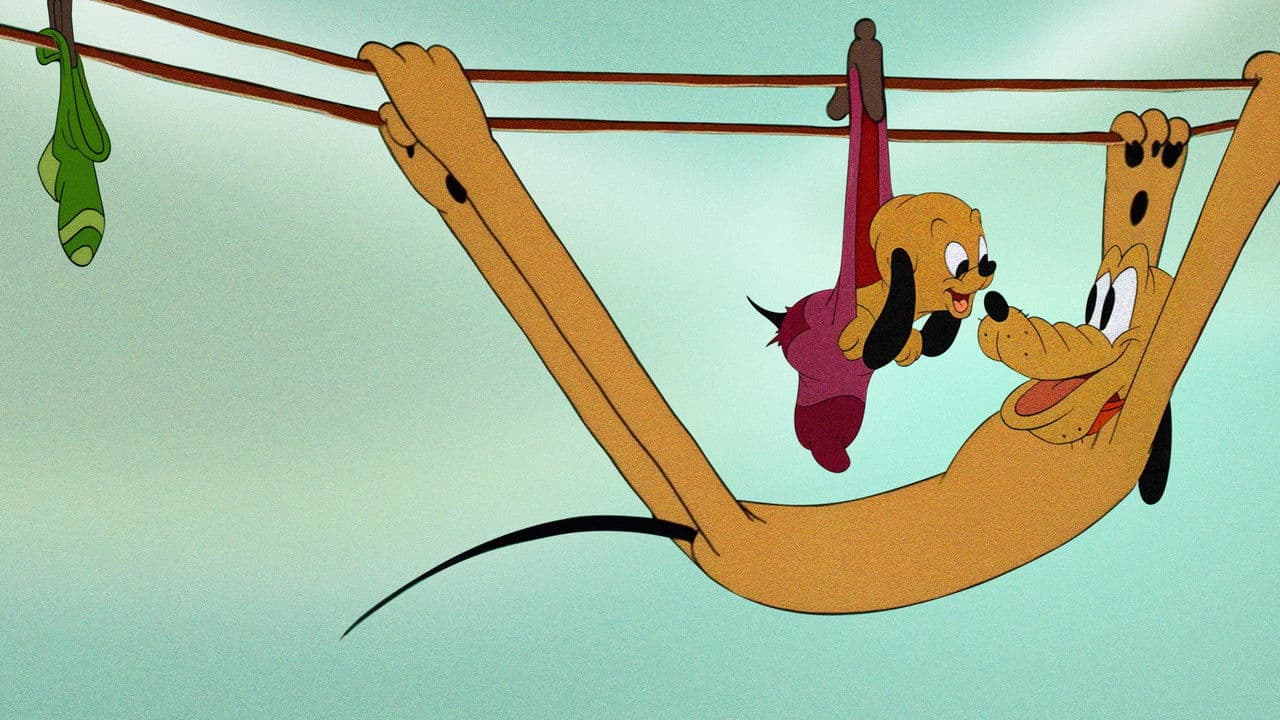 Backdrop – Pluto Junior